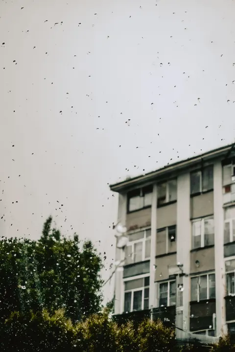 Rain Window Phone Wallpaper · rain · 1440×2160