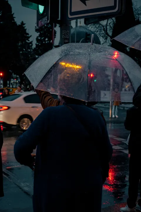 Rain Street Phone Wallpaper · rain · 1440×2160