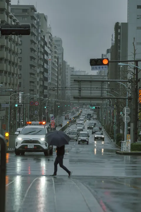 Rain Street Phone Wallpaper · rain · 1440×2160