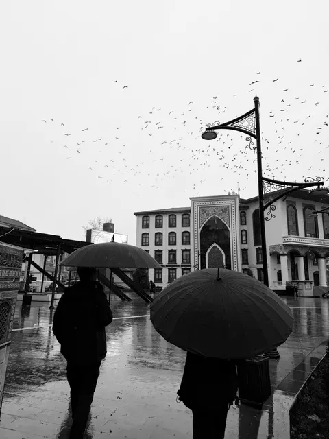 Rain Street Phone Wallpaper · rain · 1440×1920