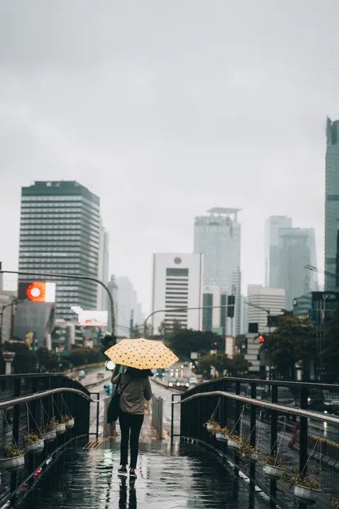 Rain Street Phone Wallpaper · rain · 1440×2160