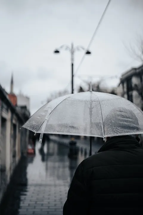 Rain Street Phone Wallpaper · rain · 1440×2160