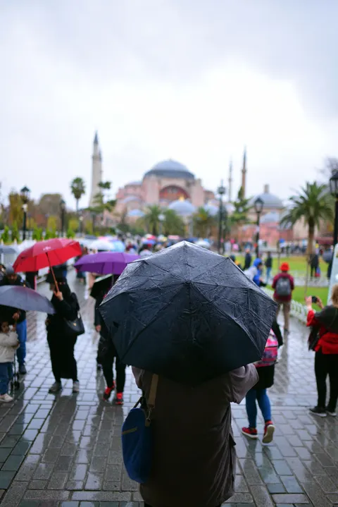 Rain Street Phone Wallpaper · rain · 1440×2157