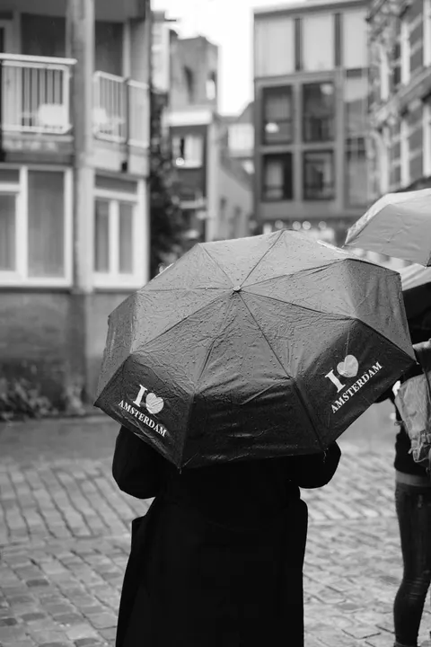 Rain Street Phone Wallpaper · rain · 1440×2160