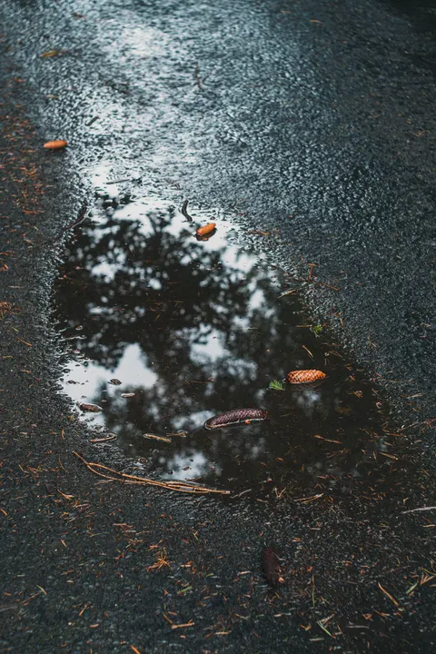 Rain Puddle Phone Wallpaper · rain · 1440×2160