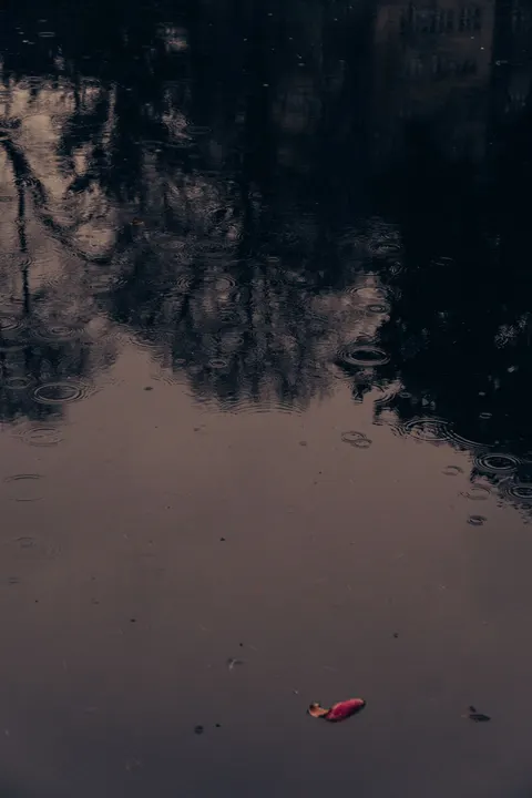 Rain Puddle Phone Wallpaper · rain · 1440×2160