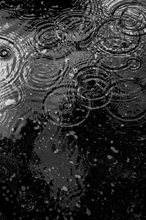 Rain Puddle Phone Wallpaper · rain · 1440×2160