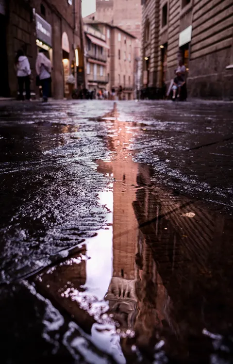 Rain Puddle Phone Wallpaper · rain · 1440×2248