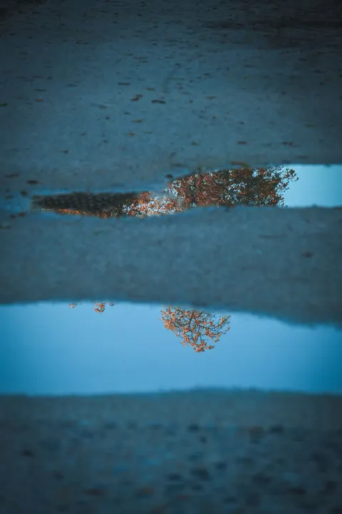 Rain Puddle Phone Wallpaper · rain · 1440×2160