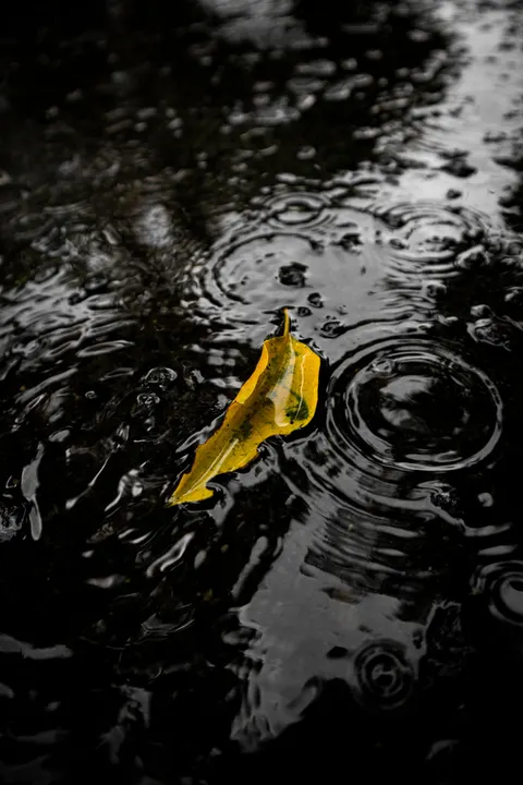 Rain Puddle Phone Wallpaper · rain · 1440×2160