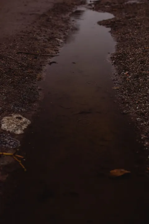 Rain Puddle Phone Wallpaper · rain · 1440×2160