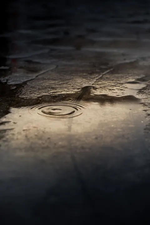 Rain Puddle Phone Wallpaper · rain · 1440×2160