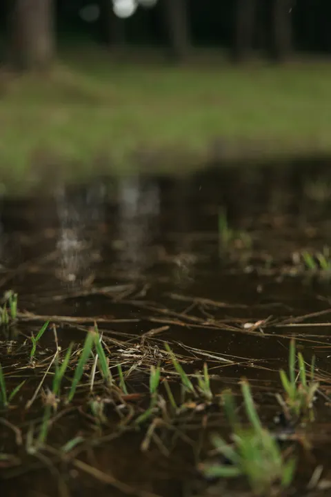 Rain Puddle Phone Wallpaper · rain · 1440×2160