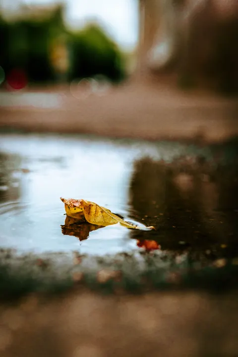 Rain Puddle Phone Wallpaper · rain · 1440×2160