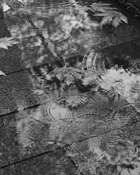 Rain Puddle Phone Wallpaper · rain · 1440×1798