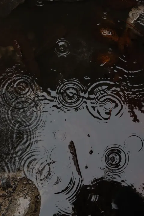 Rain Puddle Phone Wallpaper · rain · 1440×2160
