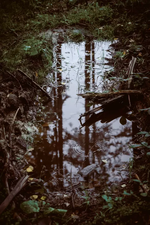 Rain Puddle Phone Wallpaper · rain · 1440×2160