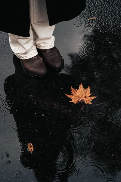 Rain Puddle Phone Wallpaper · rain · 1440×2160
