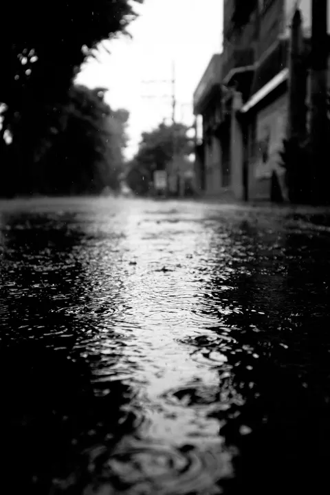 Rain Puddle Phone Wallpaper · rain · 1440×2160