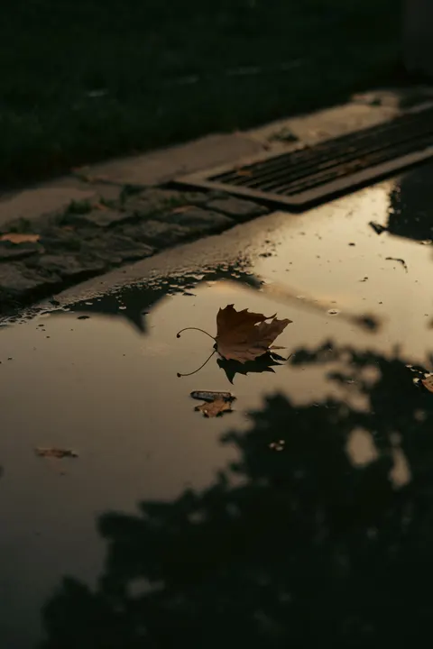 Rain Puddle Phone Wallpaper · rain · 1440×2160