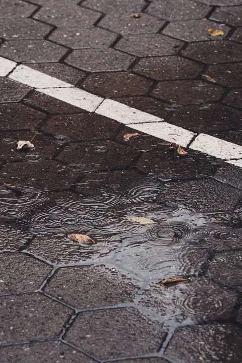 Rain Puddle Phone Wallpaper · rain · 1440×2160