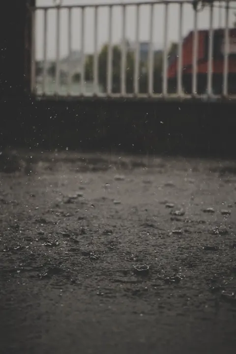 Rain Puddle Phone Wallpaper · rain · 1440×2160