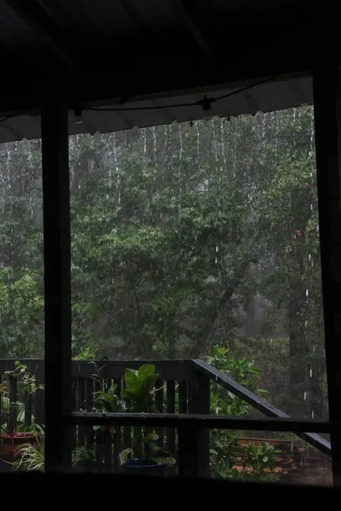 Rain Storm Phone Wallpaper · rain · 1440×2160