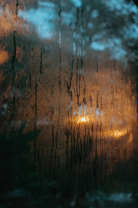 Rain Window Phone Wallpaper · rain · 1440×2160