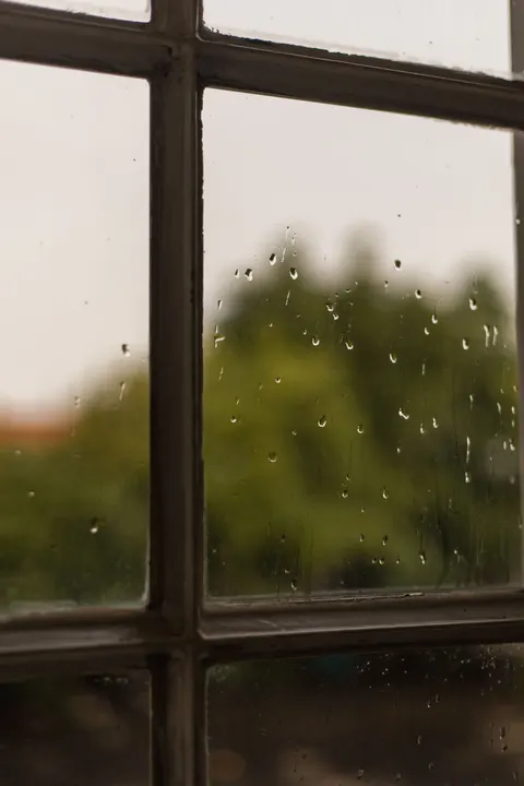 Rain Window Phone Wallpaper · rain · 1440×2160
