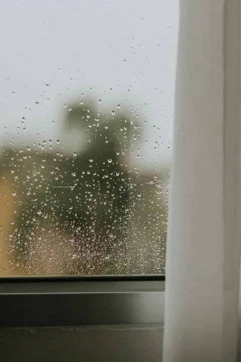 Rain Window Phone Wallpaper · rain · 1440×2160