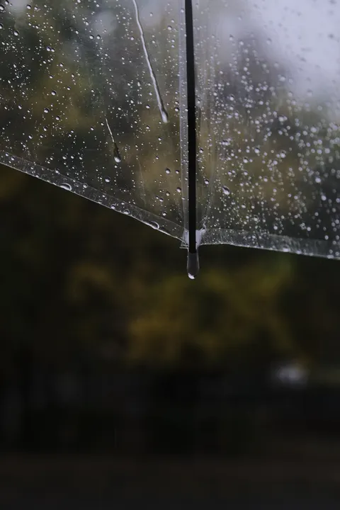 Rain Window Phone Wallpaper · rain · 1440×2160