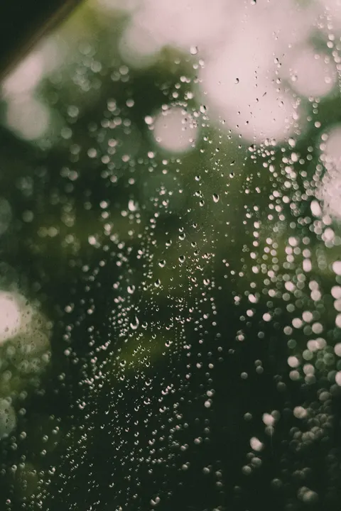 Rain Window Phone Wallpaper · rain · 1440×2160
