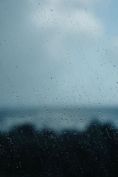 Rain Window Phone Wallpaper · rain · 1440×2160