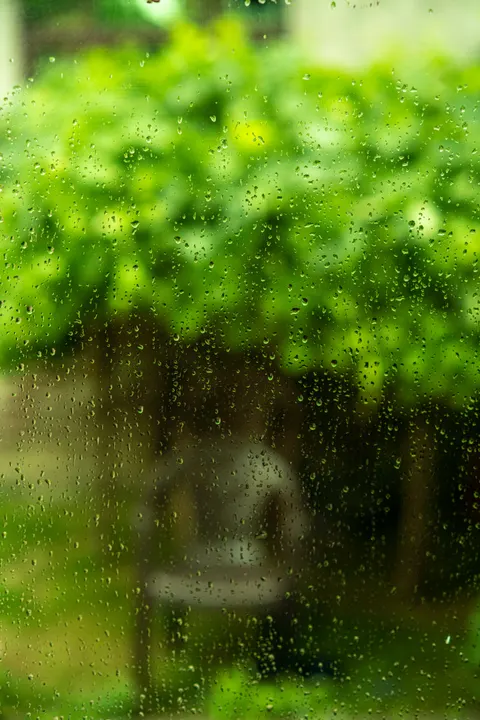 Rain Window Phone Wallpaper · rain · 1440×2160