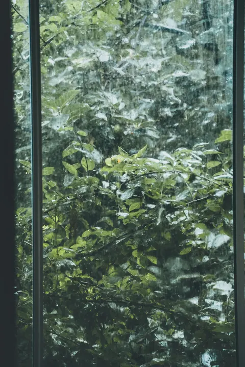 Rain Window Phone Wallpaper · rain · 1440×2158
