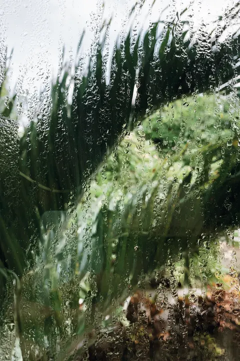 Rain Window Phone Wallpaper · rain · 1440×2164
