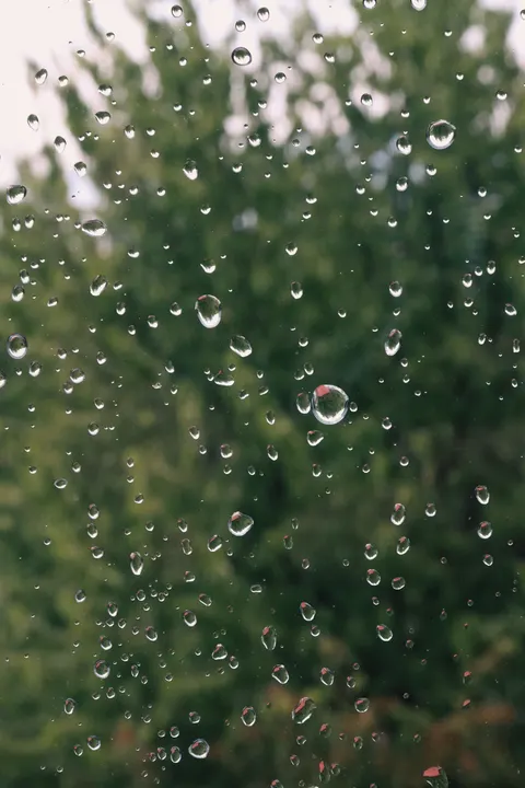 Rain Window Phone Wallpaper · rain · 1440×2160