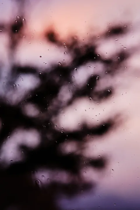 Rain Window Phone Wallpaper · rain · 1440×2160