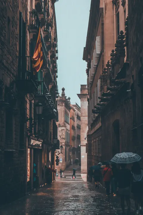 Rain Street Phone Wallpaper · rain · 1440×2160