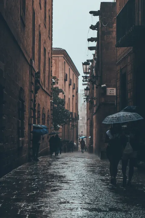 Rain Street Phone Wallpaper · rain · 1440×2160
