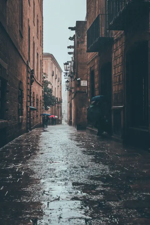 Rain Street Phone Wallpaper · rain · 1440×2160