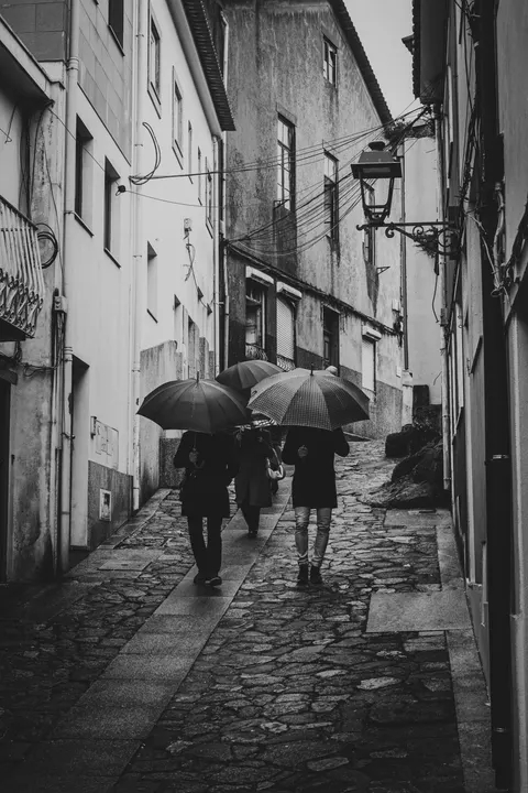 Rain Street Phone Wallpaper · rain · 1440×2160
