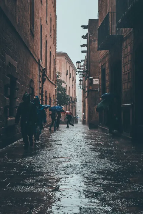 Rain Street Phone Wallpaper · rain · 1440×2160