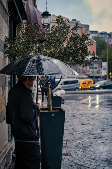 Rain Street Phone Wallpaper · rain · 1440×2160