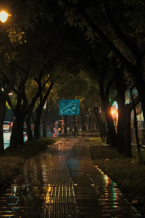 Rain Puddle Phone Wallpaper · rain · 1440×2160