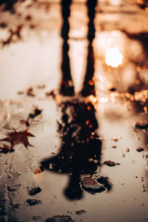 Rain Puddle Phone Wallpaper · rain · 1440×2160