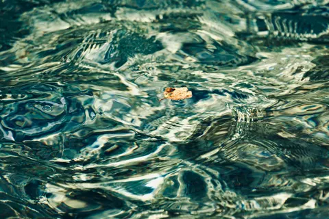 والپیپر تالاب زلال با کیفیت 4K · ocean · 3840×2560