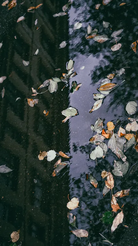 Rain Puddle Phone Wallpaper · rain · 1440×2560
