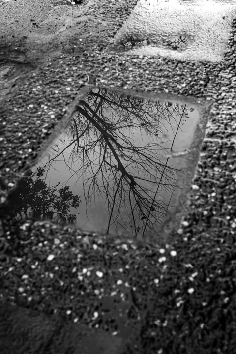 Rain Puddle Phone Wallpaper · rain · 1440×2160