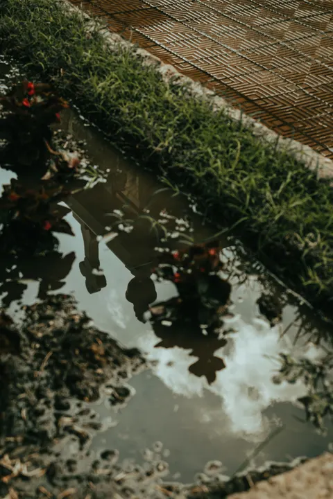 Rain Puddle Phone Wallpaper · rain · 1440×2160